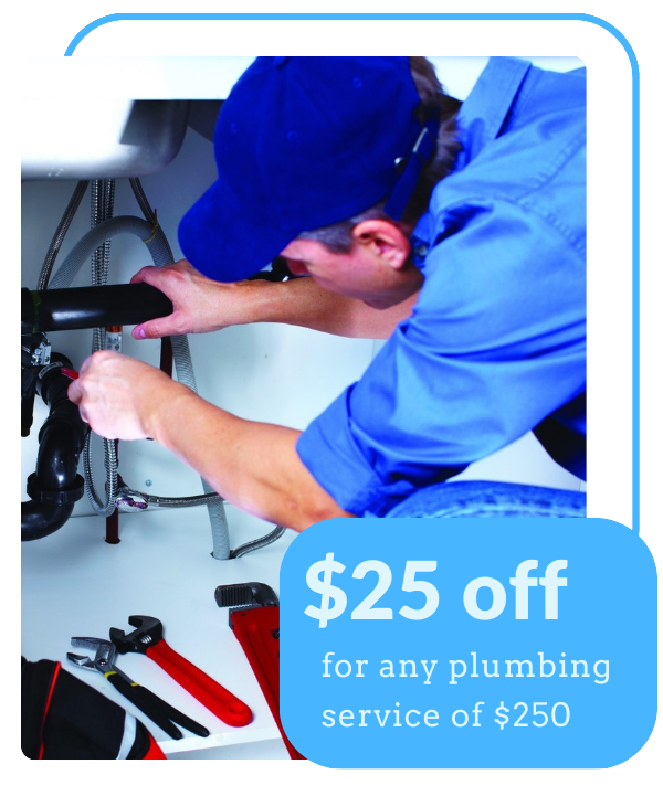 plumbing-snake Plumbing Problems service